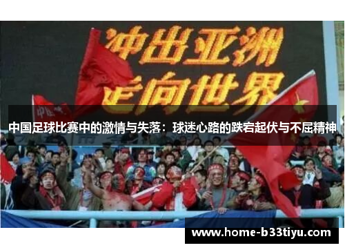 中国足球比赛中的激情与失落：球迷心路的跌宕起伏与不屈精神