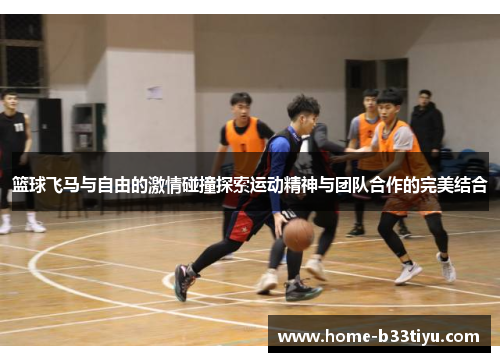 篮球飞马与自由的激情碰撞探索运动精神与团队合作的完美结合